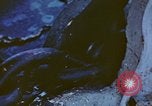 Image of anchor Pacific Ocean, 1945, second 3 stock footage video 65675059760
