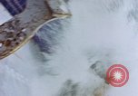 Image of anchor Pacific Ocean, 1945, second 38 stock footage video 65675059760