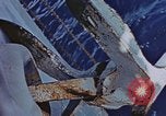 Image of anchor Pacific Ocean, 1945, second 48 stock footage video 65675059760