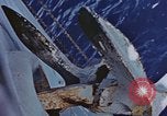 Image of anchor Pacific Ocean, 1945, second 49 stock footage video 65675059760