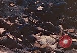 Image of dead Marines Iwo Jima, 1945, second 8 stock footage video 65675059766