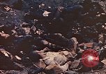 Image of dead Marines Iwo Jima, 1945, second 9 stock footage video 65675059766