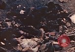 Image of dead Marines Iwo Jima, 1945, second 11 stock footage video 65675059766