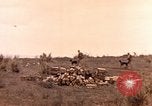 Image of United States Marines Iwo Jima, 1945, second 27 stock footage video 65675059767