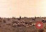 Image of United States Marines Iwo Jima, 1945, second 28 stock footage video 65675059767