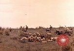 Image of United States Marines Iwo Jima, 1945, second 29 stock footage video 65675059767