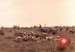 Image of United States Marines Iwo Jima, 1945, second 30 stock footage video 65675059767