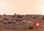 Image of United States Marines Iwo Jima, 1945, second 31 stock footage video 65675059767