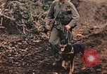 Image of United States Marines Iwo Jima, 1945, second 37 stock footage video 65675059767