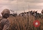 Image of United States Marines Iwo Jima, 1945, second 48 stock footage video 65675059767