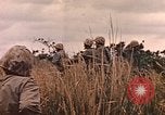 Image of United States Marines Iwo Jima, 1945, second 50 stock footage video 65675059767