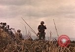 Image of United States Marines Iwo Jima, 1945, second 61 stock footage video 65675059767
