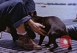 Image of Vice Admiral Lockwood Pacific Ocean, 1945, second 54 stock footage video 65675059777