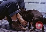 Image of Vice Admiral Lockwood Pacific Ocean, 1945, second 55 stock footage video 65675059777