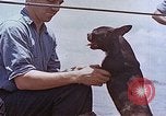 Image of Vice Admiral Lockwood Pacific Ocean, 1945, second 57 stock footage video 65675059777