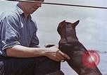 Image of Vice Admiral Lockwood Pacific Ocean, 1945, second 58 stock footage video 65675059777