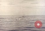 Image of machine gun Pacific Ocean, 1945, second 47 stock footage video 65675059780