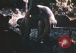 Image of United States airmen brushing teeth Corsica France, 1944, second 8 stock footage video 65675059794