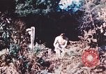 Image of United States airmen brushing teeth Corsica France, 1944, second 25 stock footage video 65675059794