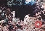 Image of United States airmen brushing teeth Corsica France, 1944, second 26 stock footage video 65675059794