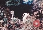 Image of United States airmen brushing teeth Corsica France, 1944, second 27 stock footage video 65675059794