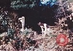 Image of United States airmen brushing teeth Corsica France, 1944, second 28 stock footage video 65675059794