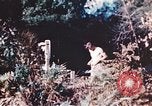 Image of United States airmen brushing teeth Corsica France, 1944, second 31 stock footage video 65675059794