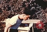 Image of United States airmen Corsica France, 1944, second 40 stock footage video 65675059795