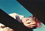 Image of United States airmen Corsica France, 1944, second 62 stock footage video 65675059795
