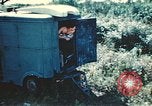 Standbild USA airmen Korsika Frankreich, 1944, aus Sekunde 7 historischem Filmmaterial Videoclip 65675059796
