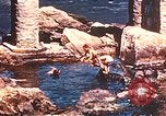 Immagine di Porta fracassato Corsica Francia, 1944, secondo 13 filmato di repertorio 65675059801