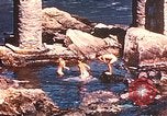 Immagine di Porta fracassato Corsica Francia, 1944, secondo 15 filmato di repertorio 65675059801