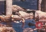 Immagine di Porta fracassato Corsica Francia, 1944, secondo 24 filmato di repertorio 65675059801