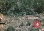 Immagine di Porta fracassato Corsica Francia, 1944, secondo 37 filmato di repertorio 65675059801