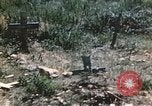 Immagine di Porta fracassato Corsica Francia, 1944, secondo 39 filmato di repertorio 65675059801