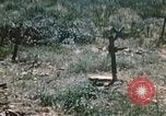 Immagine di Porta fracassato Corsica Francia, 1944, secondo 40 filmato di repertorio 65675059801