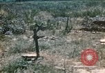 Immagine di Porta fracassato Corsica Francia, 1944, secondo 41 filmato di repertorio 65675059801