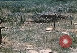 Immagine di Porta fracassato Corsica Francia, 1944, secondo 42 filmato di repertorio 65675059801