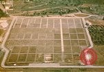 Immagine di Cimitero Americano Europa, 1944, secondo 27 filmato di repertorio 65675059803