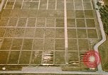 Immagine di Cimitero Americano Europa, 1944, secondo 29 filmato di repertorio 65675059803