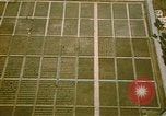 Immagine di Cimitero Americano Europa, 1944, secondo 31 filmato di repertorio 65675059803