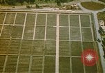 Immagine di Cimitero Americano Europa, 1944, secondo 32 filmato di repertorio 65675059803