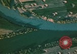 Image of flooded farmland Europe, 1944, second 54 stock footage video 65675059804