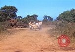 Image États-Unis aviateurs Corse France, 1944, de la seconde 15 séquences d'archives historiques vidéo 65675059809