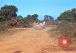 Image États-Unis aviateurs Corse France, 1944, de la seconde 16 séquences d'archives historiques vidéo 65675059809