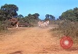 Image États-Unis aviateurs Corse France, 1944, de la seconde 17 séquences d'archives historiques vidéo 65675059809