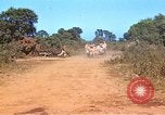 Image États-Unis aviateurs Corse France, 1944, de la seconde 18 séquences d'archives historiques vidéo 65675059809