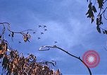 Image of P-47 aircraft Europe, 1944, second 17 stock footage video 65675059812