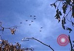 Image of P-47 aircraft Europe, 1944, second 18 stock footage video 65675059812