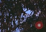 Image of P-47 aircraft Europe, 1944, second 23 stock footage video 65675059812